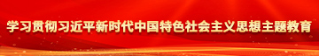 美女被尻窝学习贯彻习近平新时代中国特色社会主义思想主题教育