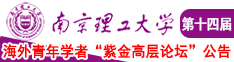 想要鸡巴操骚逼视频南京理工大学第十四届海外青年学者紫金论坛诚邀海内外英才！